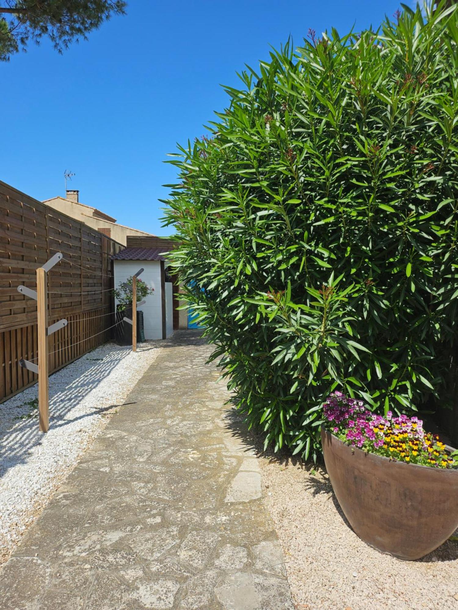 Belle Villa Lespignan מראה חיצוני תמונה
